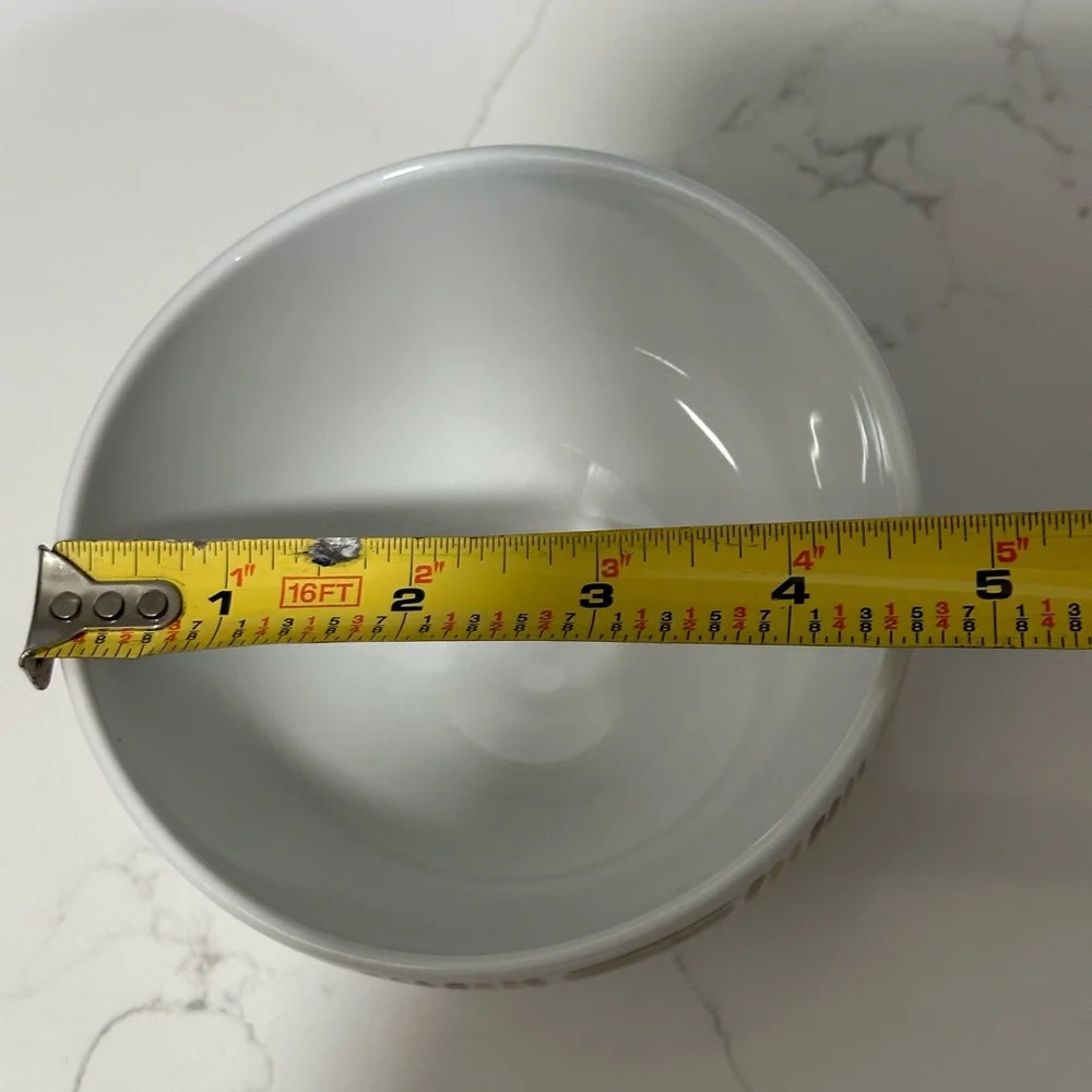 West Elm Salad Cereal Candy Bowl Microwave Dishwasher Safe White Brow Green Cute